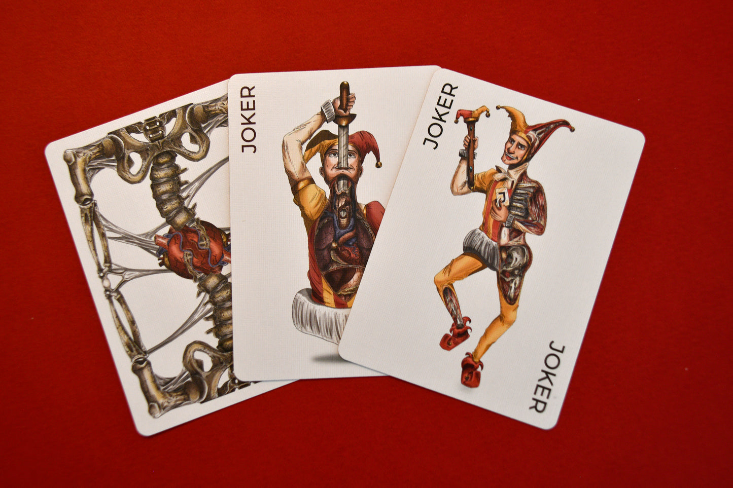 Anatomica Playing Cards