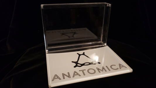 Two-Deck Anatomica Display